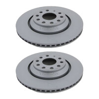 2 Bremsscheiben belüftet Ø 310 mm TRISCAN...