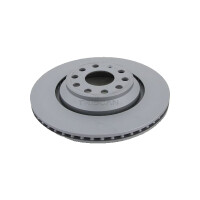 2 Bremsscheiben belüftet Ø 310 mm TRISCAN...