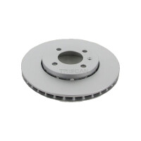 2 Bremsscheiben belüftet Ø 256 mm TRISCAN...