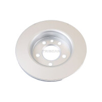 2 Bremsscheiben belüftet Ø 300 mm TRISCAN passend für u.a. VW CRAFTER