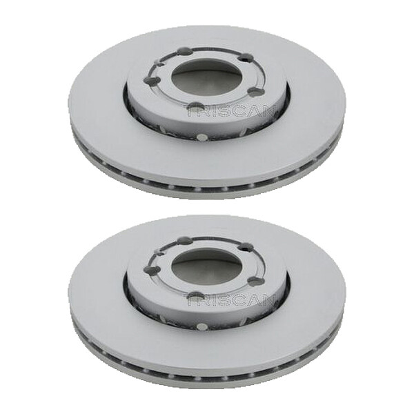 2 Bremsscheiben belüftet Ø 256 mm TRISCAN passend für u.a. SEAT IBIZA