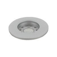 2 Bremsscheiben voll Ø 255 mm TRISCAN Bremsen-Expertise für u.a. AUDI A4