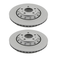 2 Bremsscheiben belüftet Ø 310 mm TRISCAN...