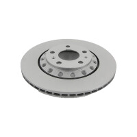 2 Bremsscheiben belüftet Ø 310 mm TRISCAN...