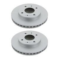 2 Bremsscheiben belüftet Ø 256 mm TRISCAN...