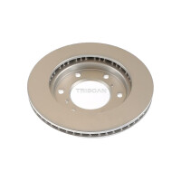 2 Brake Discs vented Ø 290 mm TRISCAN for e.g. MITSUBISHI PAJERO