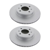 2 Bremsscheiben belüftet Ø 256 mm TRISCAN...