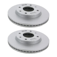 2 Bremsscheiben belüftet Ø 256 mm TRISCAN...