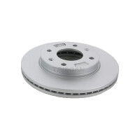 2 Bremsscheiben belüftet Ø 256 mm TRISCAN...