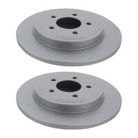 2 Bremsscheiben voll Ø 302 mm TRISCAN...