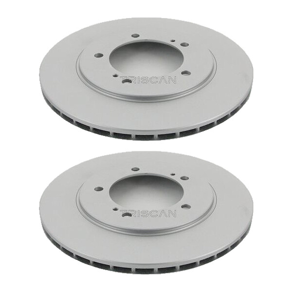 2 Bremsscheiben belüftet Ø 310 mm TRISCAN für u.a. SUZUKI GRAND