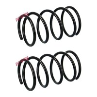Fahrwerksfedern-Set vorne Schraubenfeder Ø 176 mm...