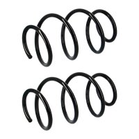 Fahrwerksfedern-Set vorne Schraubenfeder Ø 181 mm...