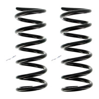 Suspension spring set front axle coil spring Ø 120...