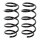 Suspension spring set front axle coil spring Ø 155 mm KYB for RENAULT KANGOO