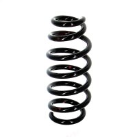 Fahrwerksfedern-Set Vorderachse Schraubenfeder Ø...