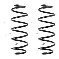 Suspension spring set rear axle coil spring Ø 119...