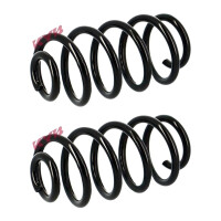 Suspension spring set rear axle coil spring Ø 120...