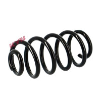 Suspension spring set rear axle coil spring Ø 120...