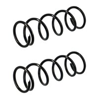 Suspension spring set rear axle coil spring Ø 105...