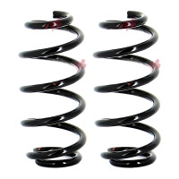 Fahrwerksfedern-Set Hinterachse Schraubenfeder Ø...