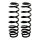 Suspension spring set rear coil spring Ø 110 mm KYB for e.g. HYUNDAI IONIQ
