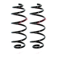 Suspension spring set rear axle coil spring Ø 118...