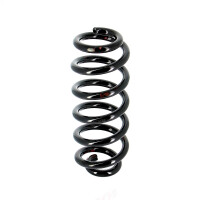 Suspension spring set rear axle coil spring Ø 117...