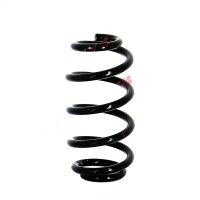 Suspension spring set rear axle coil spring Ø 118...
