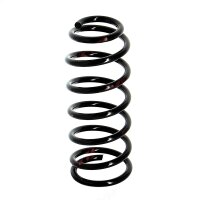 Suspension spring set rear axle coil spring Ø 123...