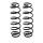 Suspension spring set rear axle coil spring Ø 104 mm KYB for FORD KA+