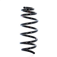 Suspension spring set rear axle coil spring Ø 111...