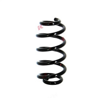 Suspension spring set rear axle coil spring Ø 121...