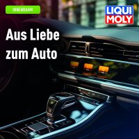 Air conditioning cleaner 5x75 ml in a can LIQUI MOLY for fresh & clean air