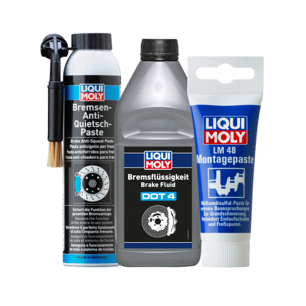 ecanis-Sorglos-Set Bremsenreinigung LIQUI MOLY für...