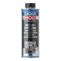 ecanis-Sorglos-Set Kraftstoff-Systemreinigung LIQUI MOLY für Benzin-Motoren