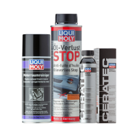 ecanis-Sorglos-Set Motorkomplettpflege LIQUI MOLY für Benzin- und Dieselmotoren