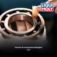 ecanis-Sorglos-Set Motorreinigung LIQUI MOLY für echten Spaß am Ölwechsel