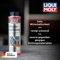 ecanis-Sorglos-Set Motorreinigung LIQUI MOLY für echten Spaß am Ölwechsel