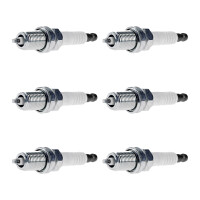 6 Spark Plugs fixed SAE connection NGK suitable for e.g....