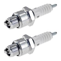 2 Zündkerzen mit Flachdichtsitz NGK...