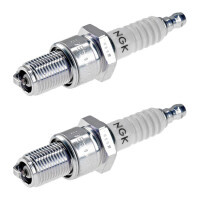2 Spark Plugs fixed SAE connection NGK IAM expertise for...