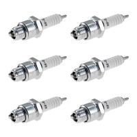 6 Zündkerzen mit Flachdichtsitz NGK...