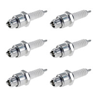 6 Zündkerzen mit Flachdichtsitz NGK...