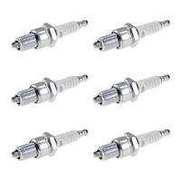 6 Spark Plugs fixed SAE connection NGK suitable for...