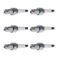 6 Spark Plugs fixed SAE connection NGK suitable for e.g....