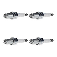 4 Zündkerzen fester SAE-Anschluss NGK IAM-Expertise...