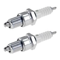 2 Spark Plugs with flat seal seat NGK aftermarket...