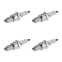 4 Zündkerzen mit Flachdichtsitz NGK IAM-Expertise...