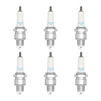 6 Zündkerzen mit Flachdichtsitz NGK...